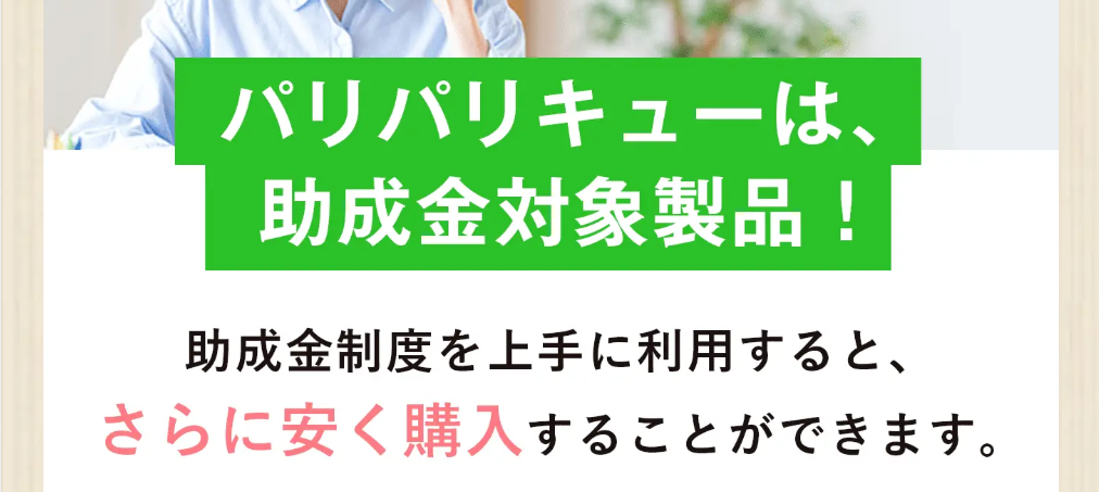 パリパリキュー 助成金対象商品